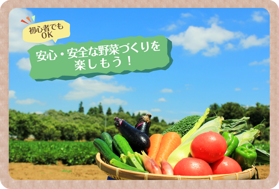 市民農園倶楽部で安心・安全な野菜づくりを楽しもう！