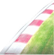 Curve