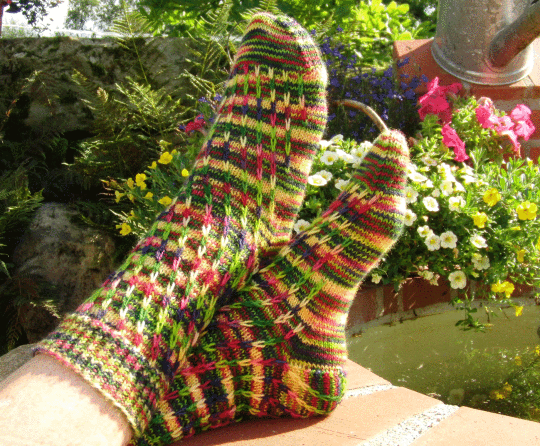 Sample knit for Sockupied in Huckleberry Knits Willow BFL/Nylon Fingering