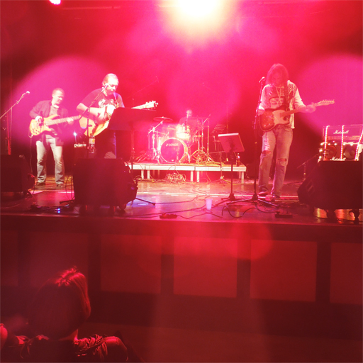 title : " R O S E  ( Manfred Altmann Band ) " _________________C-print on Dibond  45 / 60 cm 