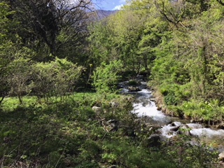 新潟県