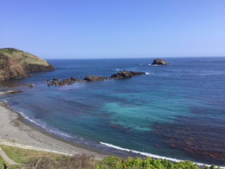 新潟県