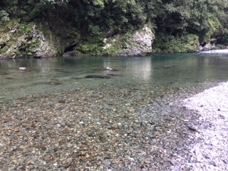 高知県