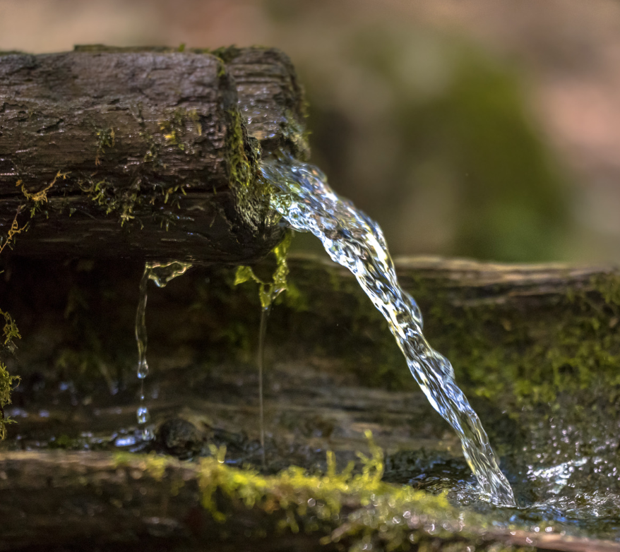 Welche Rolle spielt Wasser beim Sake-Brauen?