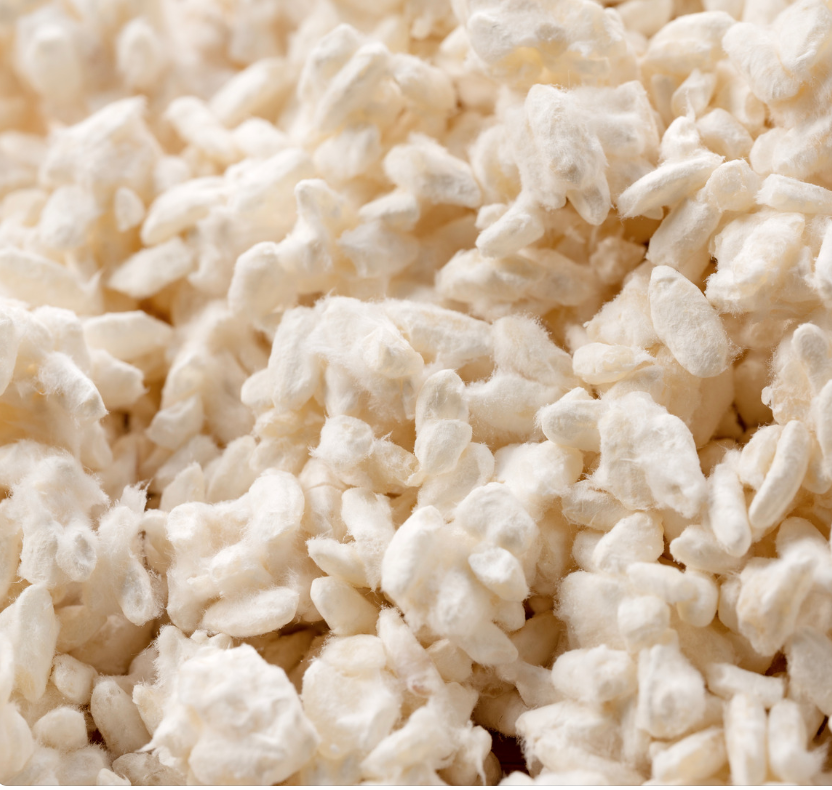 Was ist Koji? – Das Herzstück der japanischen Fermentationskunst