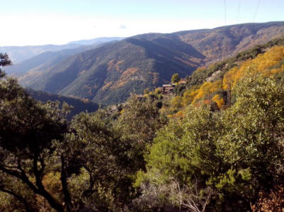 Redécouvre ta nature au coeur de la Nature sauvage en Ardèche.