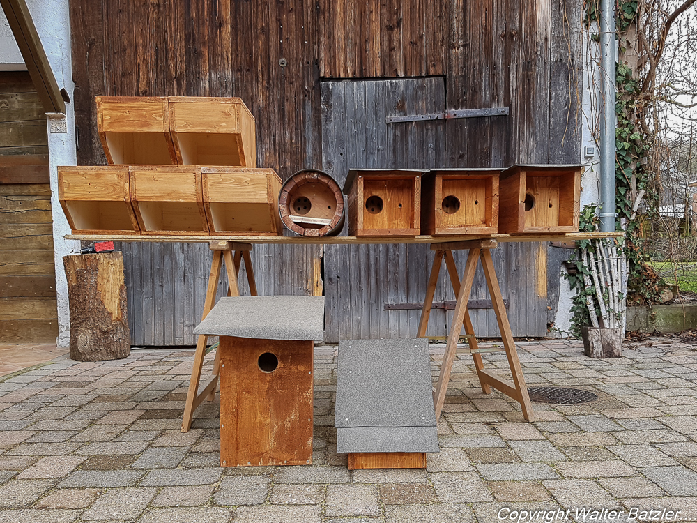 Nistkästen für Steinkauz, Wasseramsel und Wiedehopf