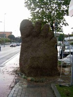 happening Piede Brescia