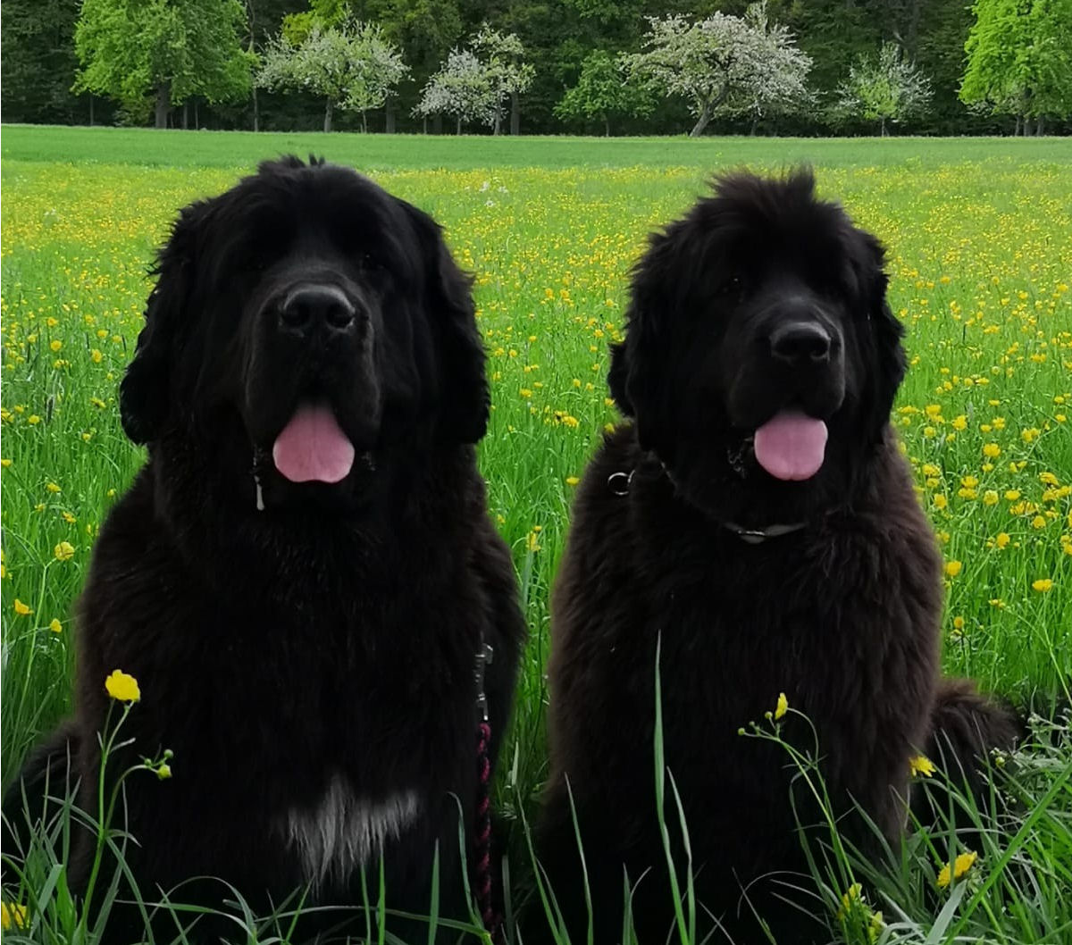 Ellie und Cara
