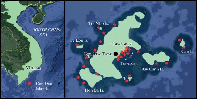  PADI Dive Center Vietnam, Con Dao Island Scuba Diving Dive Sites | Rainbow Divers Vietnam PADI Dive Center