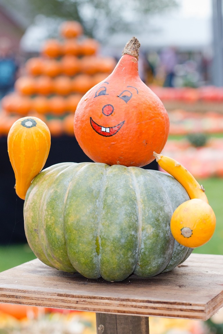 Kürbisfest auf dem Hof Schäfer in Hamminkeln