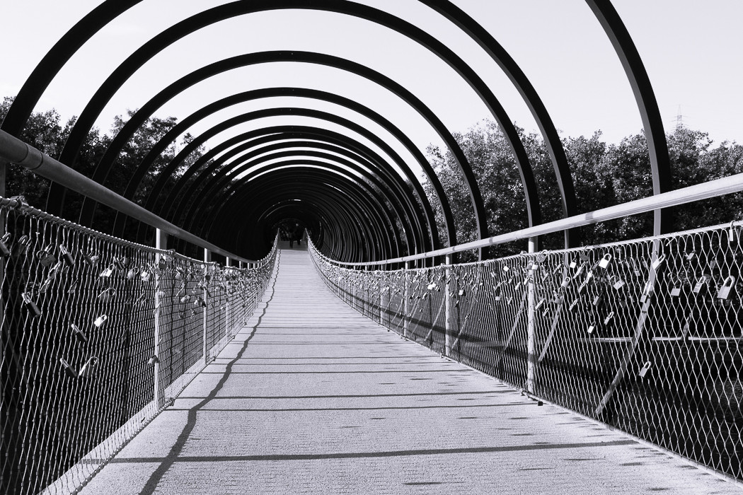 Slinky Springs to Fame, schwarzweiss.