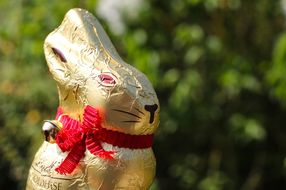 Portrait: Der Osterhase
