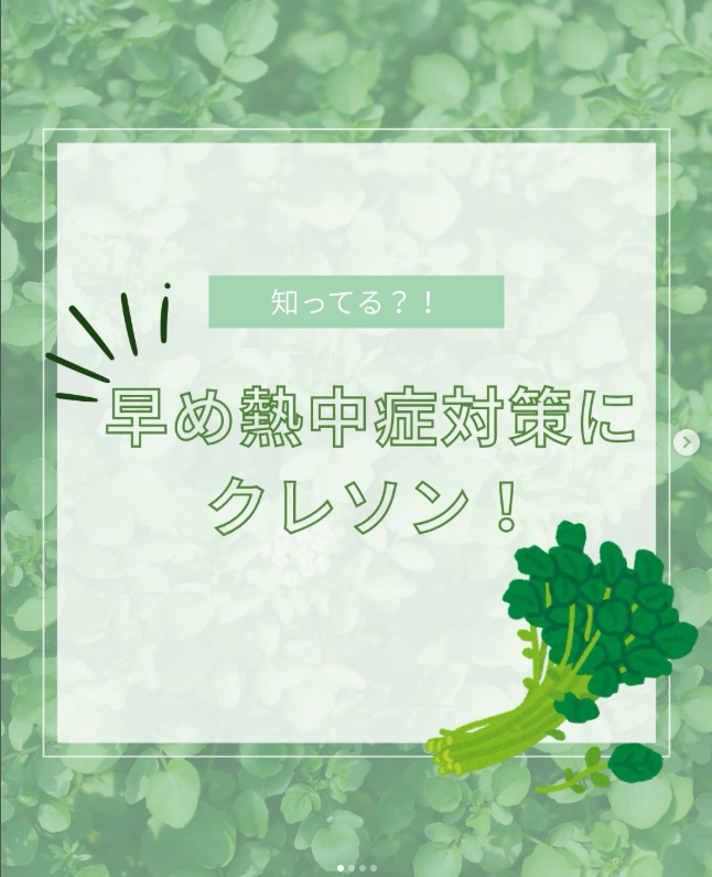 体にこもった熱を逃がしてくれるかも！？「クレソン」で始める夏の準備