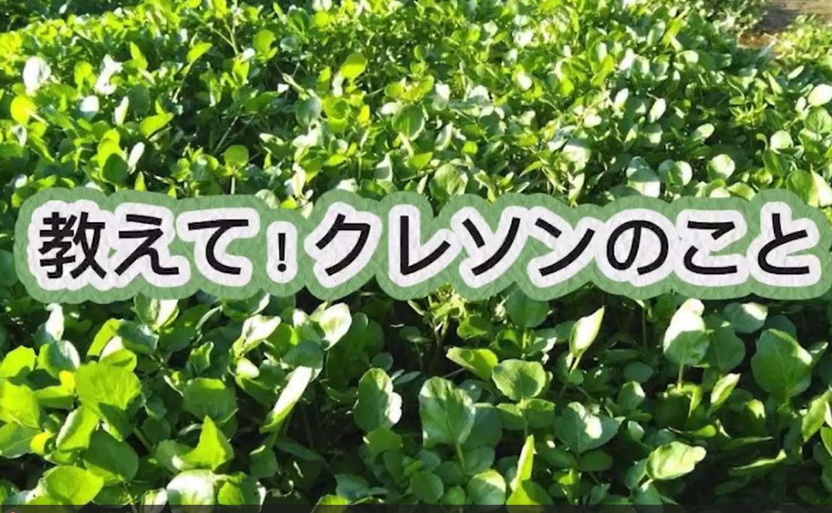 教えて！クレソンのこと！