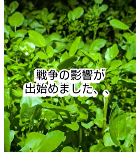 戦争の影響がこんなところにも…包装資材の供給トラブルに関するお知らせ