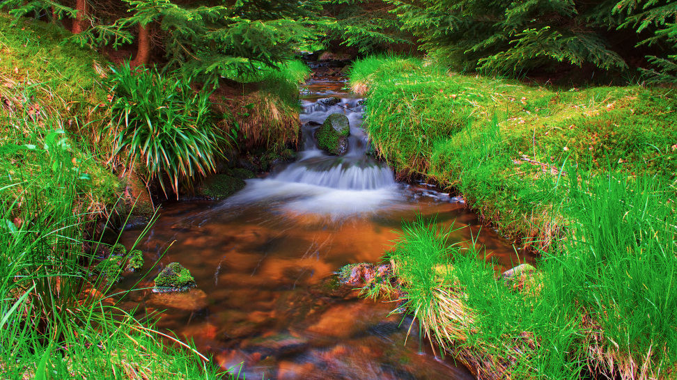 Erzgebirge, Landschaft, Wasser, Wildbach, "Andreas Hielscher Fotografie", Naturwelten