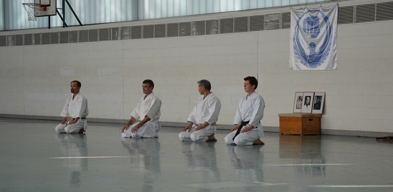 Wado and TSYR Seminar with Toby Threadgill and Kaki Kawano, 21 and 22.02.2015 in Berlin 