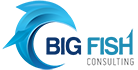 Big Fish Consulting (US)