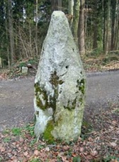 Menhir/Lochstein 'Blegiholz'