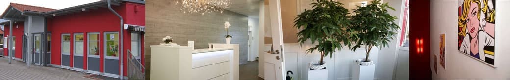 Empfang der Zahnarztpraxis PRAXIS PRO 32 in Bad Hersfeld-Asbach