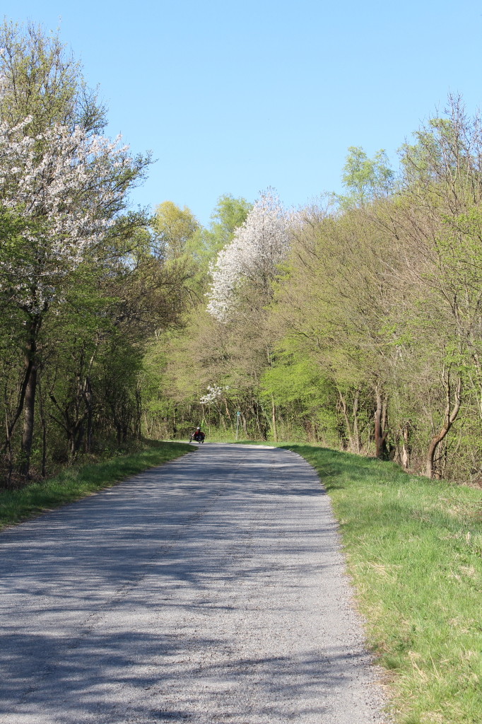 Am Radweg