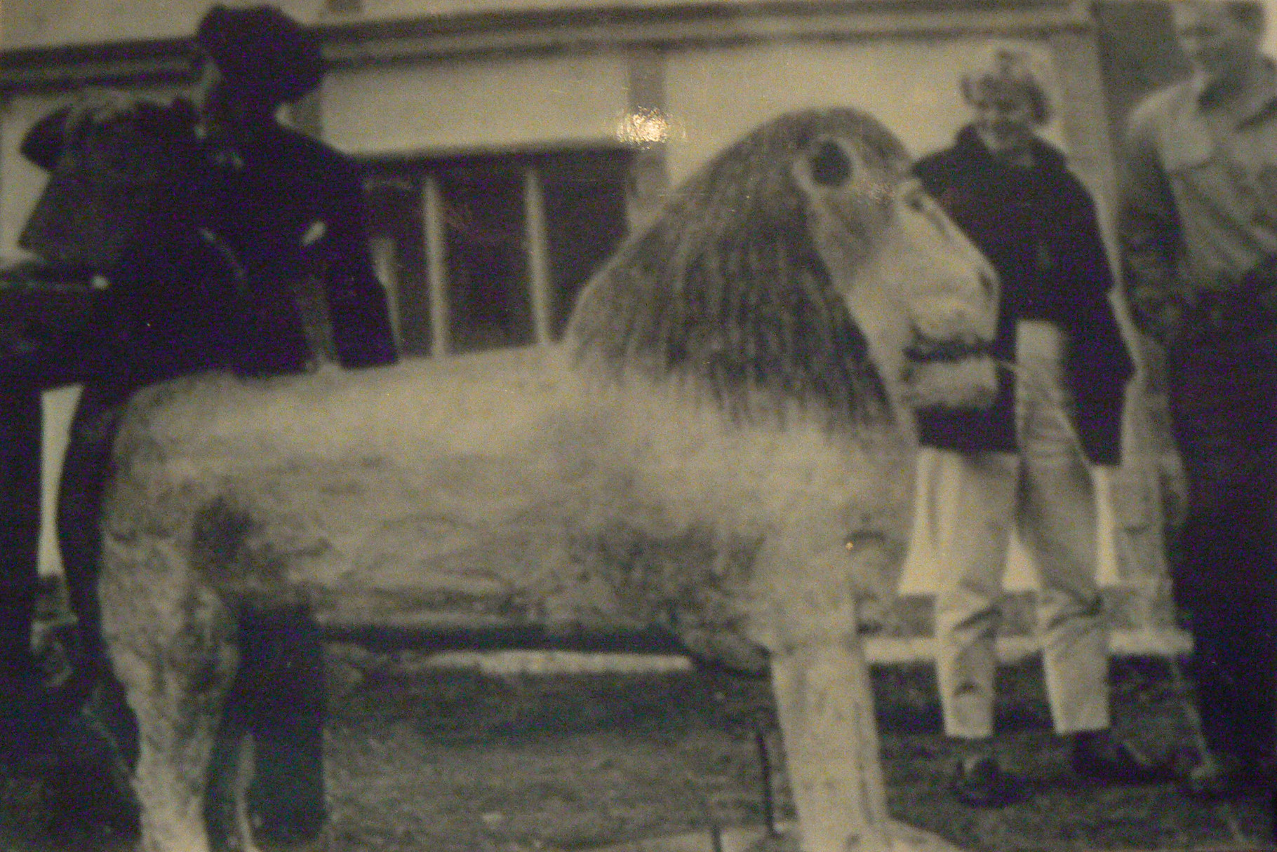  Samúel demonstrating his lion fountain to visitors in his sunday clothes.