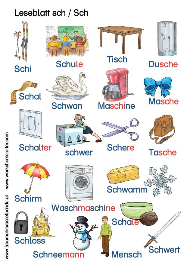 SCH lesen und zuordnen fraumohrsrasselbandes Webseite!