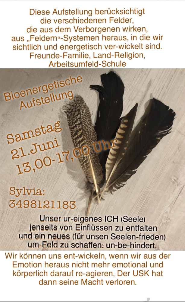 Aufstellung… nächster Termin 06.September 2025