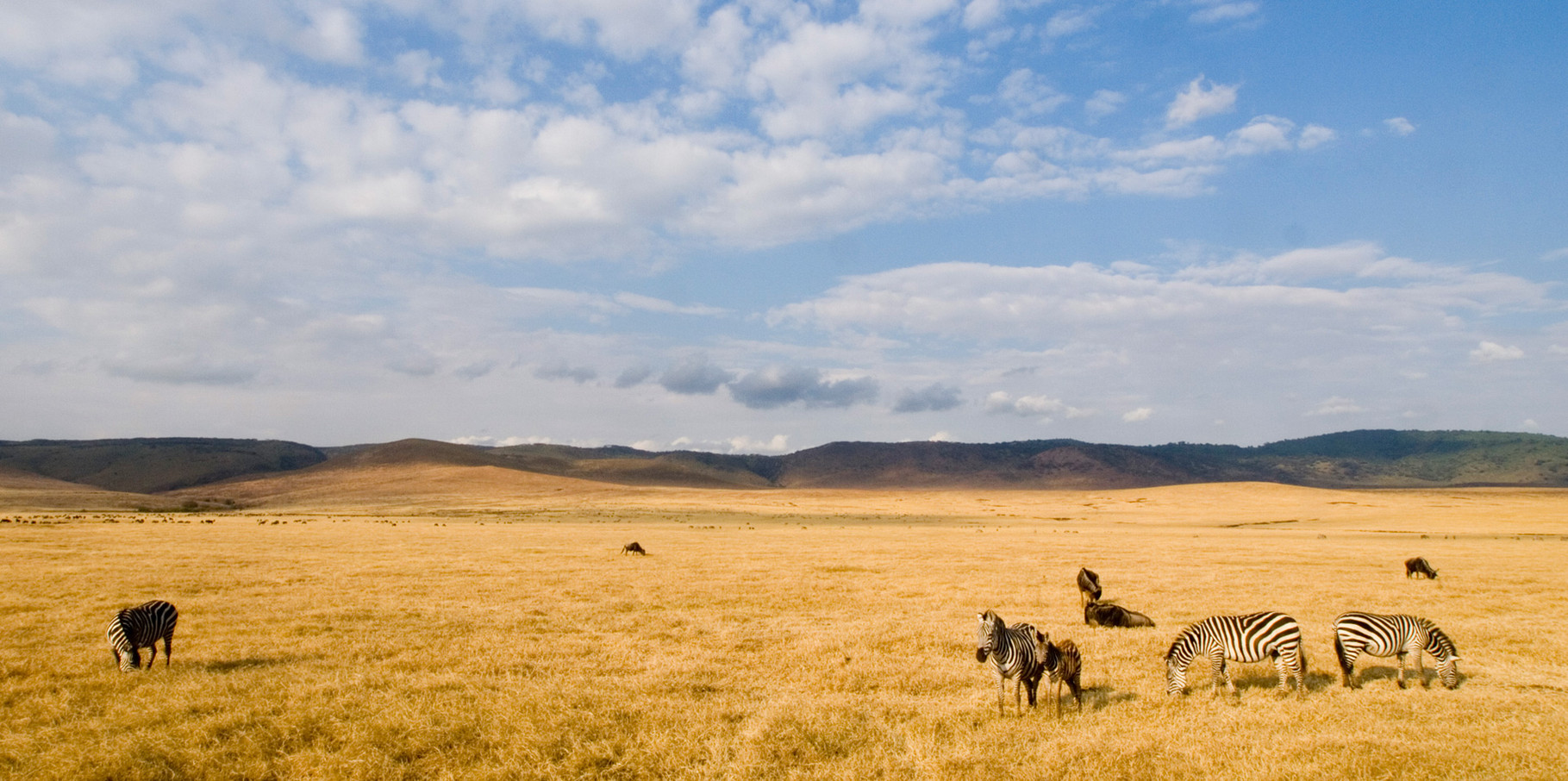 Scenery [Serengeti, Tanzania, 2012]
