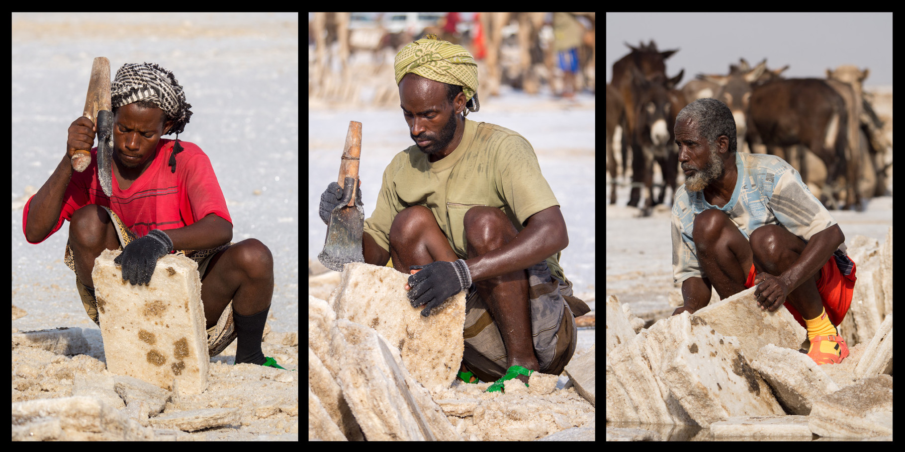 Traditional salt extraction at salt lake Asale