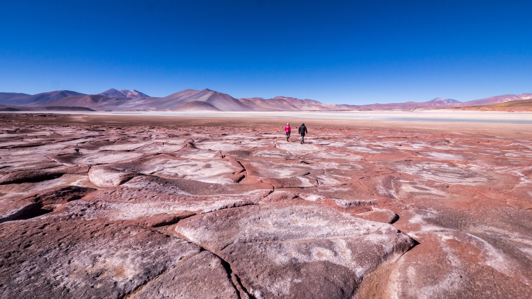 Aguas Calientes y Piedras Rojas de Hierro (Red rocks), near San Pedro de Atacama, Chile
