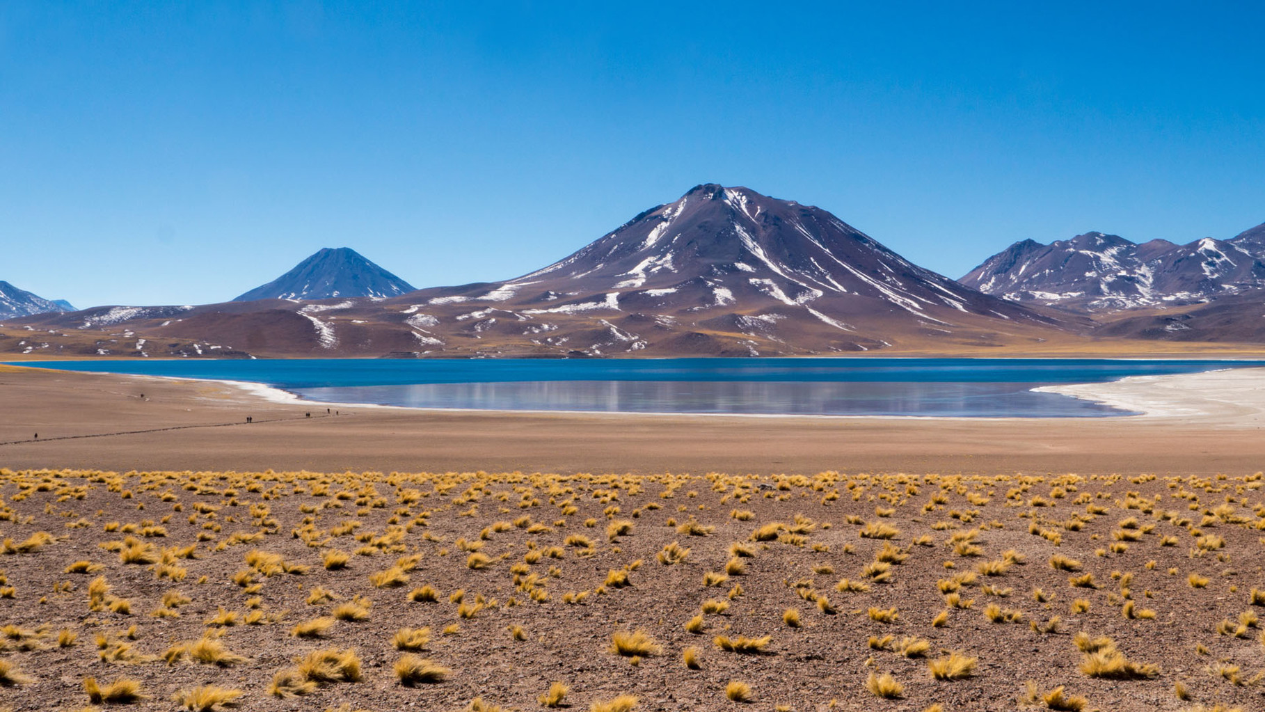 Laguna Miscanti (Reserva Nacional los Flamencos, ca 4200 masl), near San Pedro de Atacama, Chile