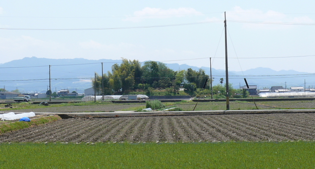 東田大塚古墳-奈良盆地東南部における纒向型前方後円墳の調査- 東田大塚古墳 奈良盆地東南部における纒向型前方後円墳の調査