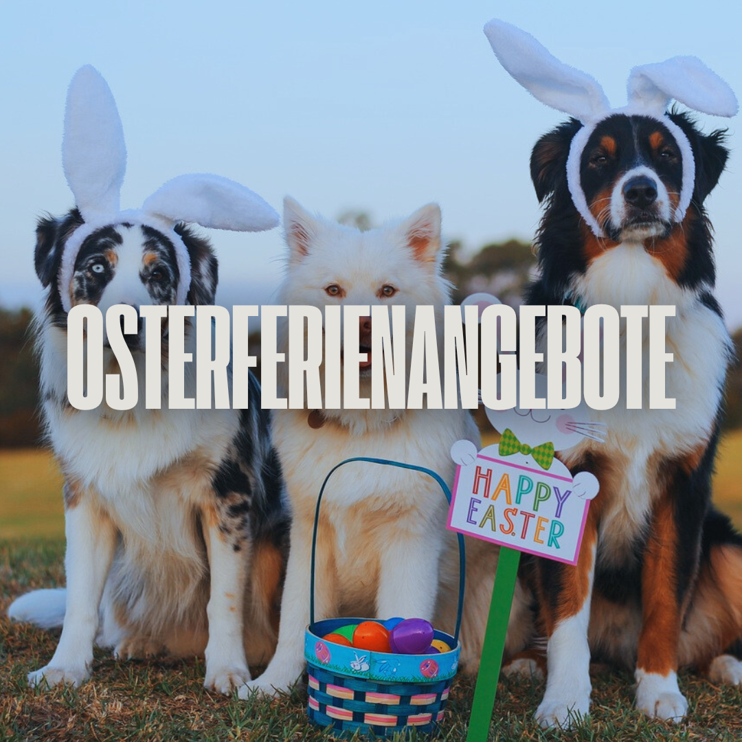 Ab 8. April: Unsere Veranstaltungen in den Osterferien
