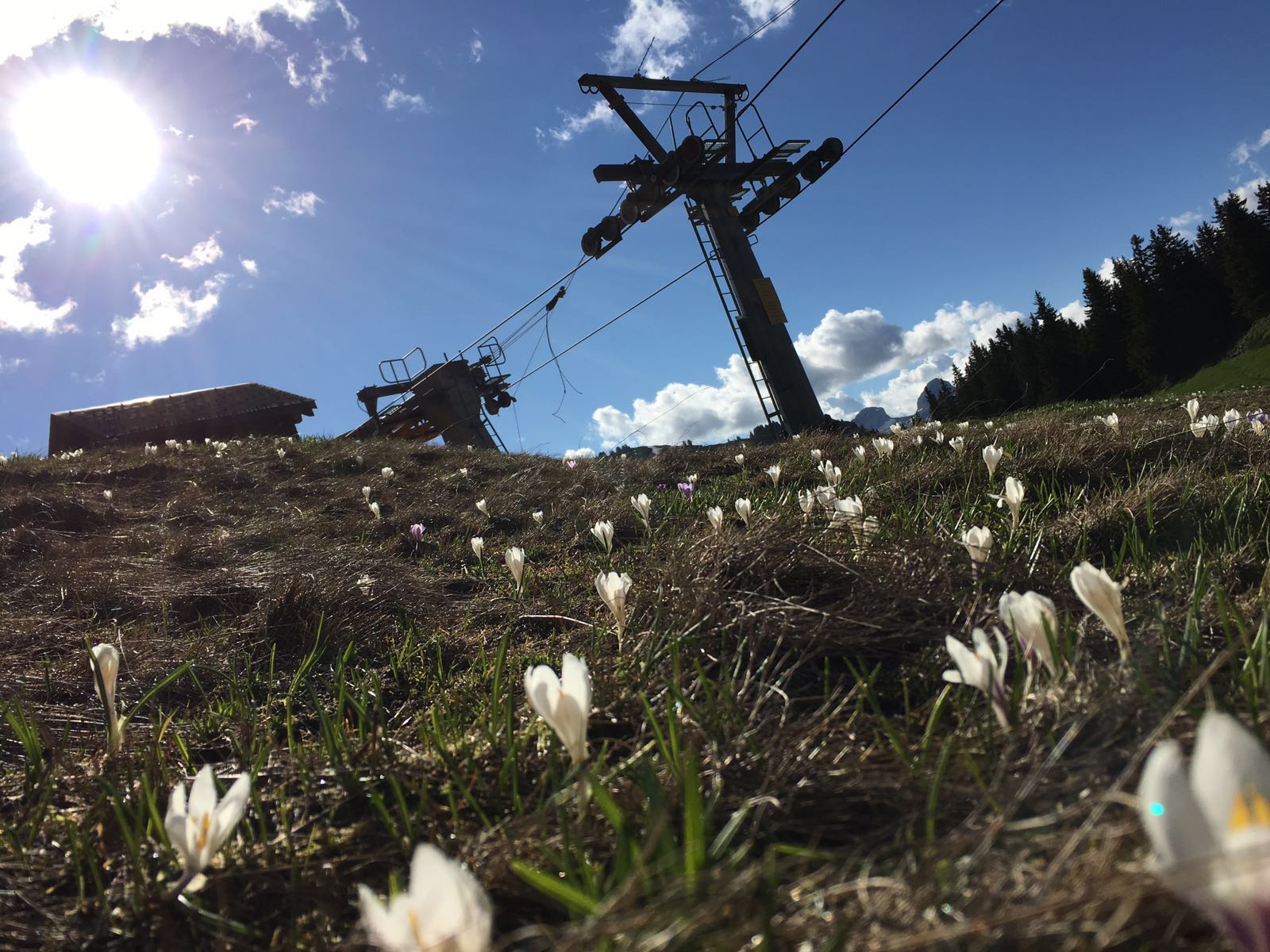 Demontage 2-CLD Perche-Conche, Villars-Diablerets