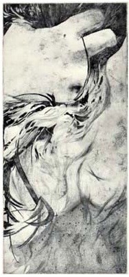 plexi - 40/18 cm - 2012