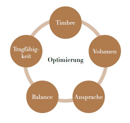 Graphic representation of the interplay of timbre, volume, response, balance and carrying capacity during sound optimization