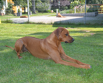 Große Schwester Gaia