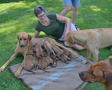 Die kleine Familie