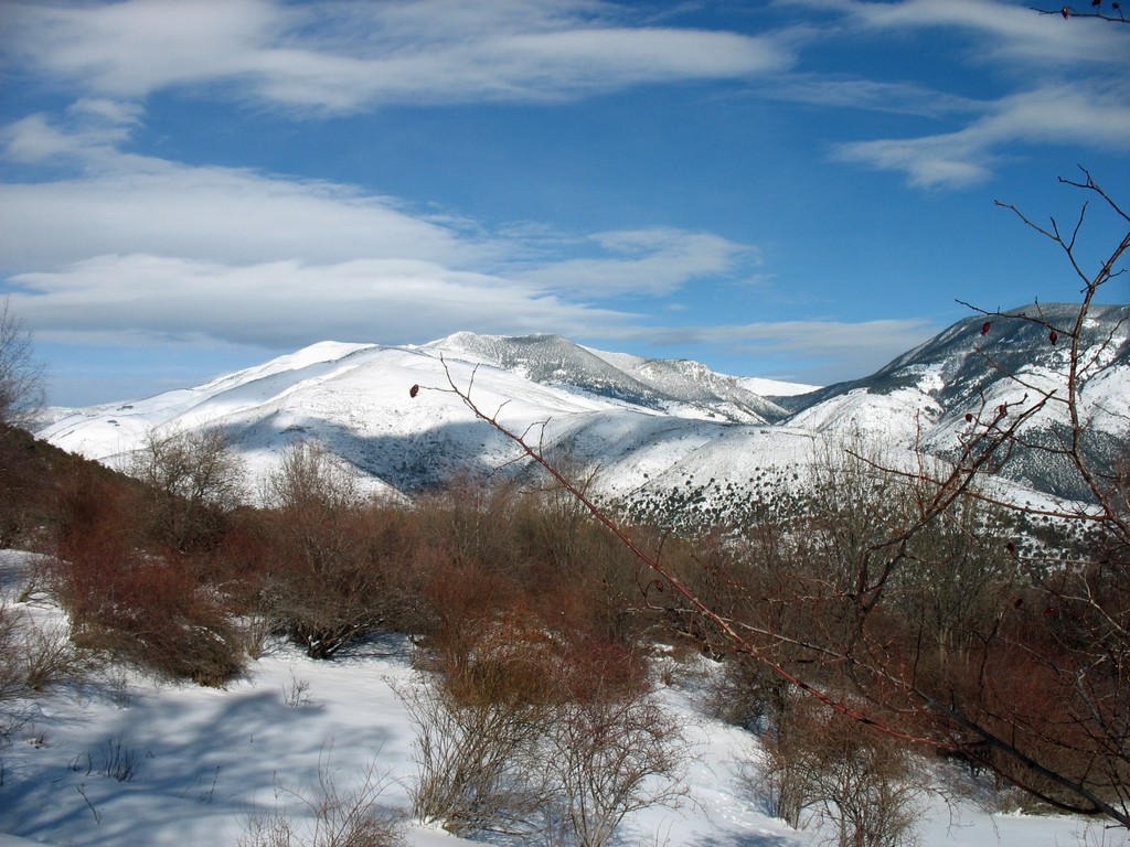 Les hauteurs de la Garrotxa