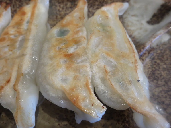 自家製餃子の近影画像。