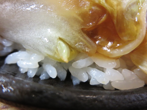 眞味の鉄板蒲焼角煮飯のご飯の近影画像