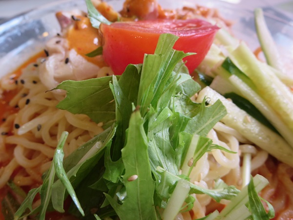 萬福の棒棒鶏冷麺の近影画像。