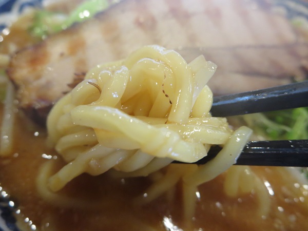 味噌屋蔵之介の元祖味噌らーめんの麺の近影画像。