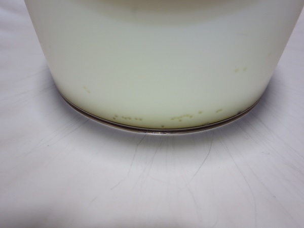 シェ・ピニョンのなめらかプリンの底のカラメルの近影画像。