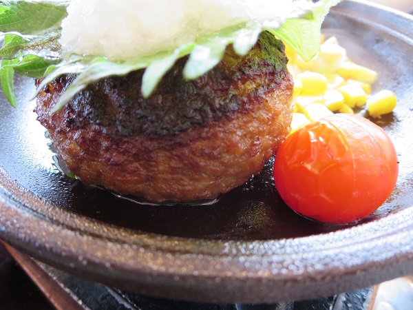 とんでんのおろしハンバーグ定食のハンバーグの近影画像。