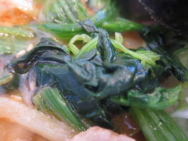 ラーメン山岡家の特製味噌ラーメンのほうれん草の近影画像。