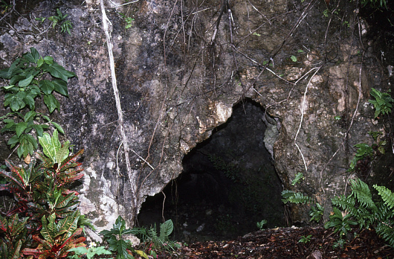 日本軍洞窟１