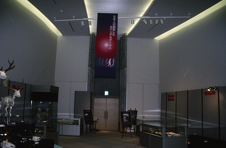 群馬県立自然史博物館企画展示 ネアンデルタール人の謎展 スライド ショー 生物考古学研究所ホームページ 群馬県立自然史博物館企画展示 ネアンデルタール人の謎展 スライド ショー 生物考古学研究所ホームページ